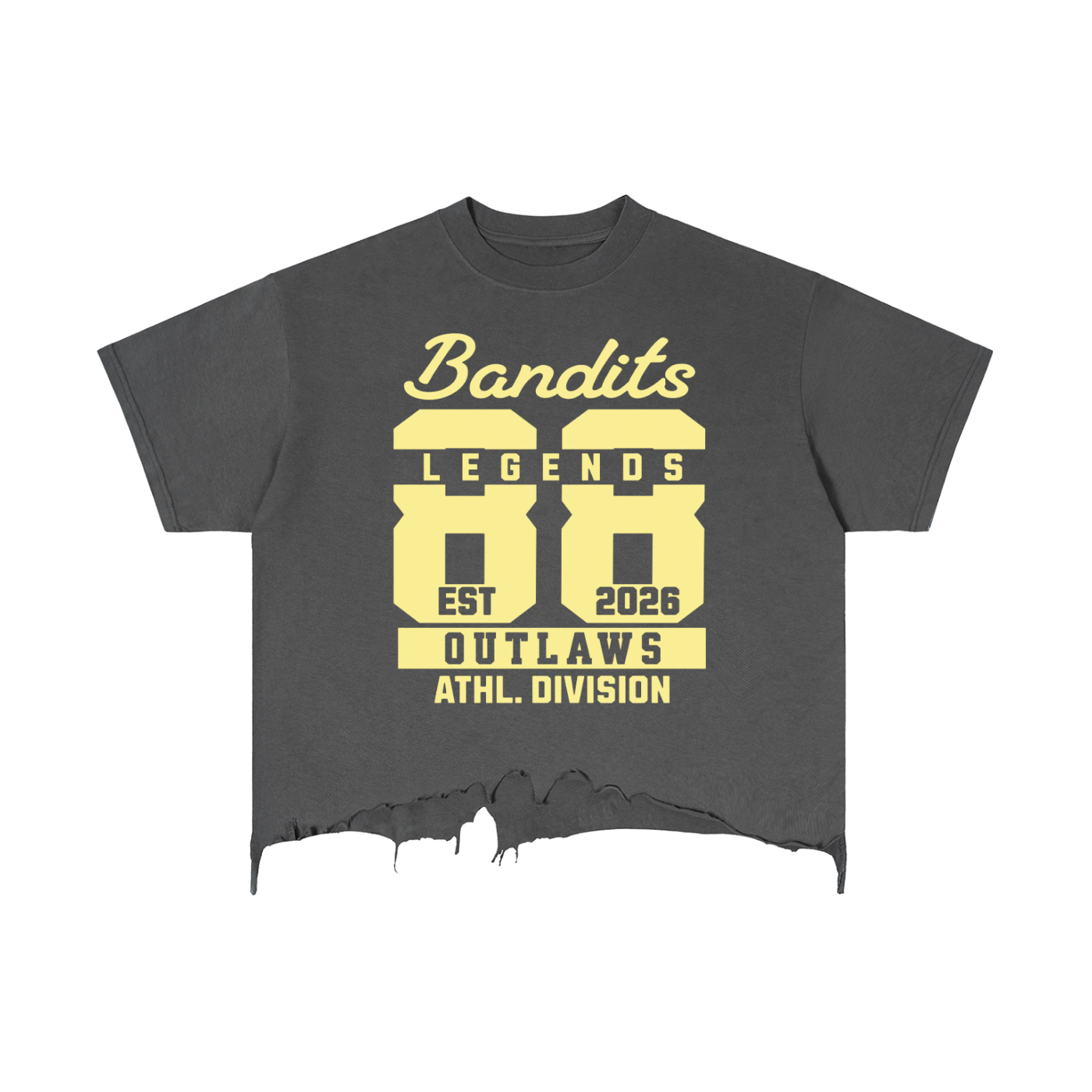 Vintage Wash Boxy Distressed Hem T-Shirt